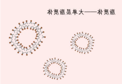 PEG化阳离子脂质体包载阿霉素DOX
