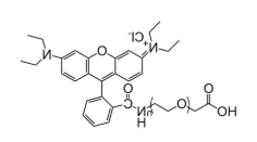RB-PG-COOH,罗丹明聚乙二醇羧基,RhodamineB-PEG-acid RB-PG-COOH,罗丹明聚乙二醇羧基,RhodamineB-PEG-acid