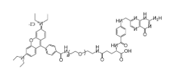FA-PEG-RB,叶酸-聚乙二醇-罗丹明,Folic acid-PEG-RB FA-PEG-RB,叶酸-聚乙二醇-罗丹明,Folic acid-PEG-RB