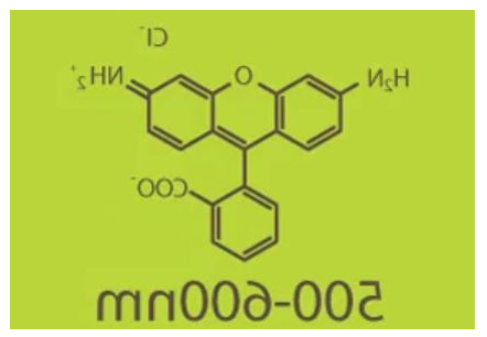 FITC-PEG2K-生物素