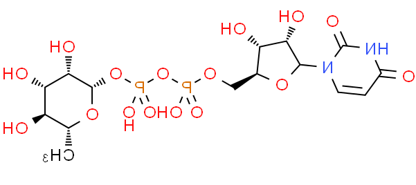 尿苷二磷酸鼠李糖,UDP-beta-L-rhamnose,CAS:1955-26-6 尿苷二磷酸鼠李糖,UDP-beta-L-rhamnose,CAS:1955-26-6