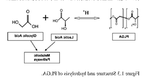 1684997043710767.png image.png
