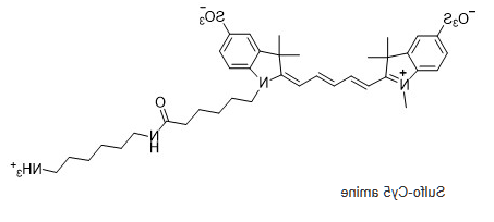 Sulfo-Cy5-氨基，磺化Cy5荧光标记氨基，水溶CY5-NH2