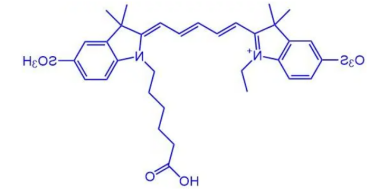 Cy5.5-NHS Cy5-NHS ester 花菁染料CY5标记活化酯齐岳生物提供
