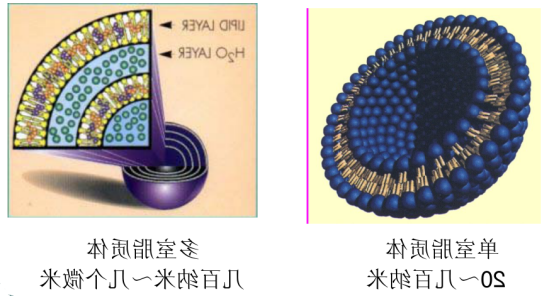 半乳糖修饰阿西替尼脂质体