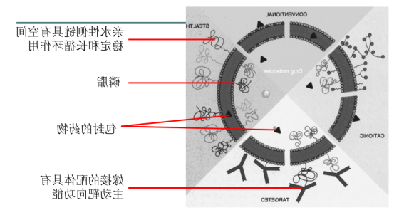 奥沙利铂长循环脂质体