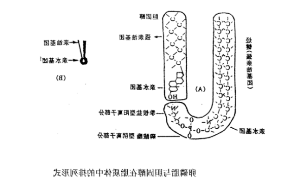 盐酸米托蒽醌脂质体 盐酸米托蒽醌脂质体