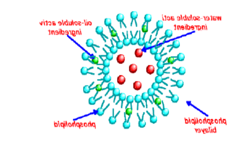 阿糖胞苷脂质体 Liposomes 阿糖胞苷脂质体 Liposomes