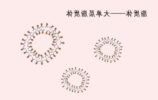 胰岛素纳米脂质体 liposome