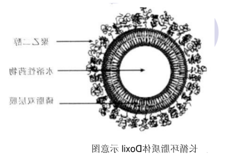 载顺铂脂质体