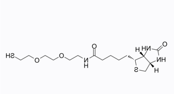Biotin-PEG2-SH