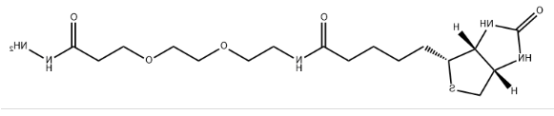 Biotin-PEG2-hydrazide Biotin-PEG2-hydrazide