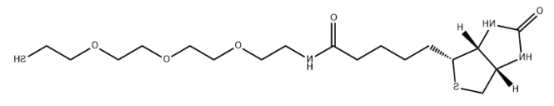 Biotin-PEG3-SH