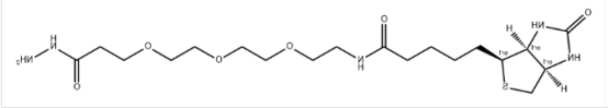 Biotin-PEG3-hydrazide