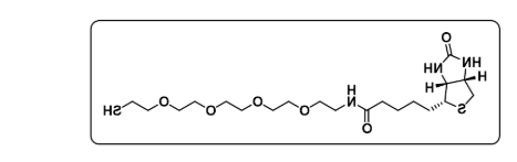Biotin-PEG4-SH