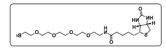Biotin-PEG4-Br