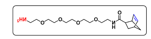 Norbornene-PEG4-amine