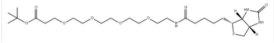 Biotin-PEG4-Boc