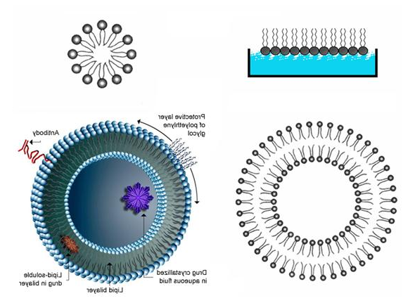 DOPS:DOPC (90:10) Liposomes