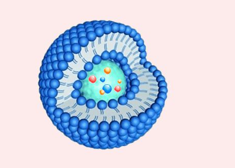 DOPS:DOPC (20:80) Liposomes 