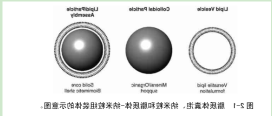 巨型单分子囊泡GUV 