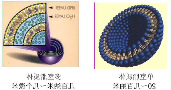 多氟烷脂质体
