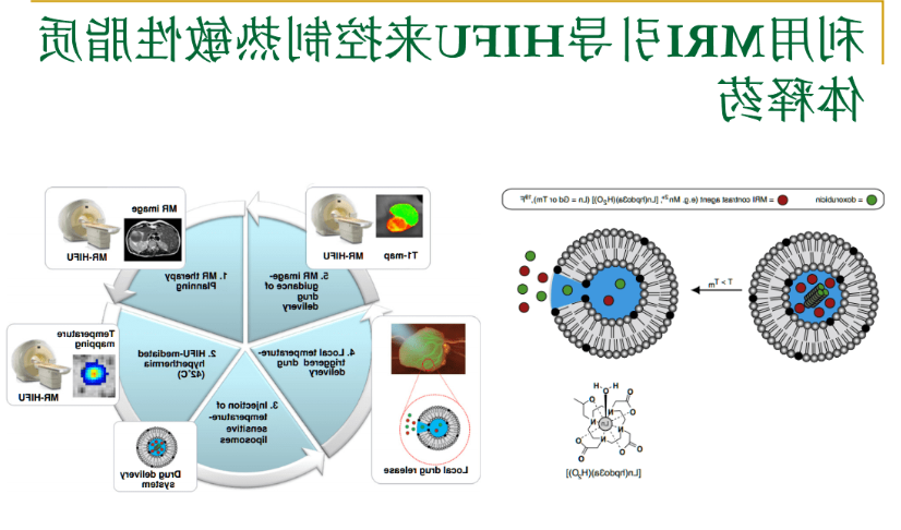 MRI造影脂质体 MRI造影脂质体