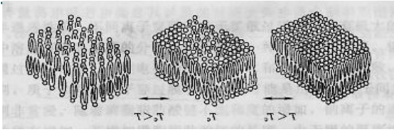 羧甲基壳聚糖/季铵盐壳聚糖脂质体