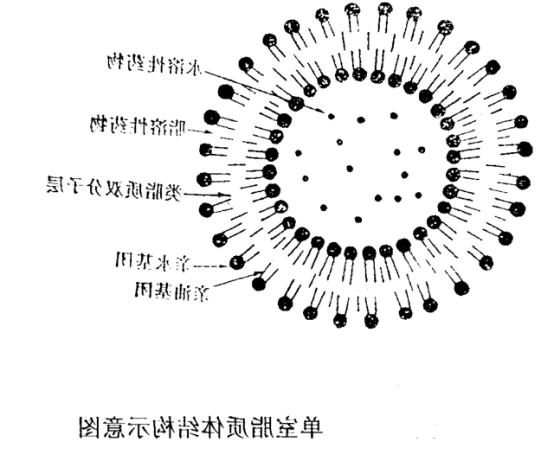 14:0 Diether PC:Chol (70:30) Liposomes