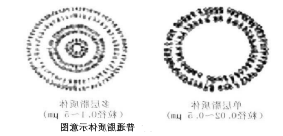 18:1 Diether PC:Chol (70:30) Liposomes