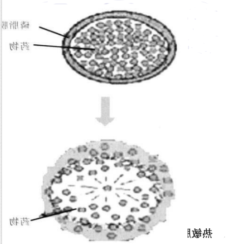 Soy PC:Chol (70:30) Liposomes