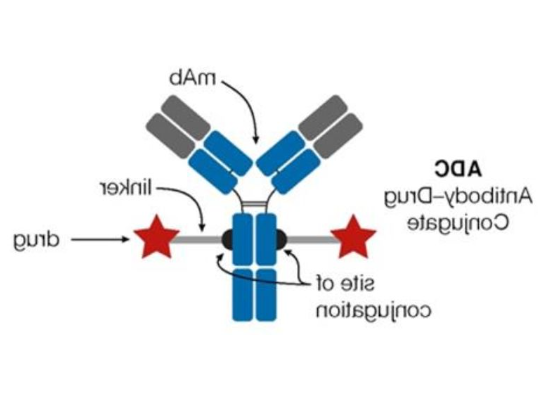 1700101656110672.png 1.png