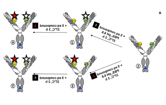 1700101756170665.png 3.png