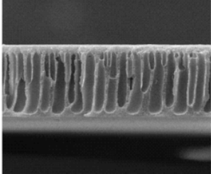 氨基化PDMS膜