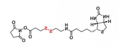 CAS:122266-55-1;Biotin-SS-NHS 生物素-二硫-活性酯