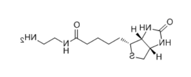 Biotin-EA 生物素-乙二胺