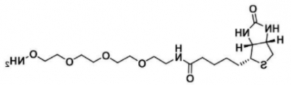 生物素-三乙二醇-氧胺盐酸盐 生物素-三乙二醇-氧胺盐酸盐