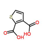2,3-Thiophenedicarboxylate  