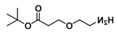 CAS:1260092-46-3；3-(2-氨基乙氧基)丙酸叔丁酯；NH2-PEG1-CH2CH2COOtBu