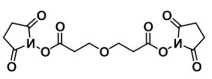 CAS 65869-64-9；双-一聚乙二醇-酯；活性酯聚乙二醇活性酯；NHS-PEG1-NHS ester