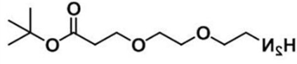 CAS 756525-95-8；氨基-二聚乙二醇-丙酸叔丁酯；Amine-PEG2-COOtBu
