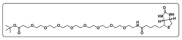 Biotin-PEG8-Boc Biotin-PEG8-Boc