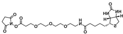 CAS 1253286-56-4；生物素三聚乙二醇活性酯；Biotin-PEG3-NHS ester