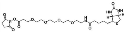 CAS:459426-22-3；生物素四聚乙二醇活性酯；Biotin-PEG4-NHS ester