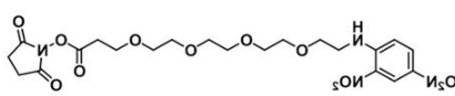 CAS:858126-78-0;DNP-PEG4-NHS ester CAS:858126-78-0;DNP-PEG4-NHS ester