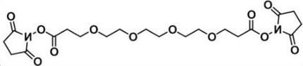 活性酯四聚乙二醇活性酯；NHS-PEG4-NHS ester