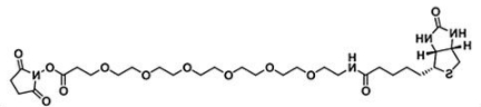 CAS:2055045-04-8；生物素六聚乙二醇活性酯；(+)-Biotin-PEG6-NHS Ester