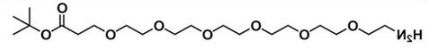 氨基-六聚乙二醇-丙酸叔丁酯；Amine-PEG6-COOtBu