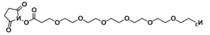 CAS:C19H32N4O10;叠氮六聚乙二醇活性酯;Azide-PEG6-NHS ester;N3-PEG6-NHS CAS:C19H32N4O10;叠氮六聚乙二醇活性酯;Azide-PEG6-NHS ester;N3-PEG6-NHS