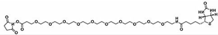 生物素十聚乙二醇活性酯;Biotin-PEG10-NHS ester;(+)-Biotin-PEG10-NHS Ester 生物素十聚乙二醇活性酯;Biotin-PEG10-NHS ester;(+)-Biotin-PEG10-NHS Ester